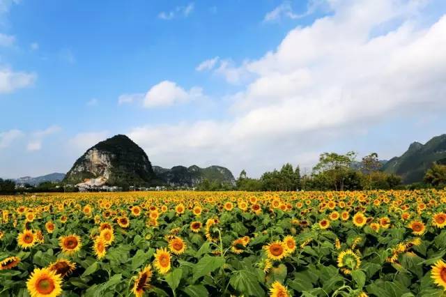 桂林4-5天旅游攻略,十一国庆桂林自由行攻略