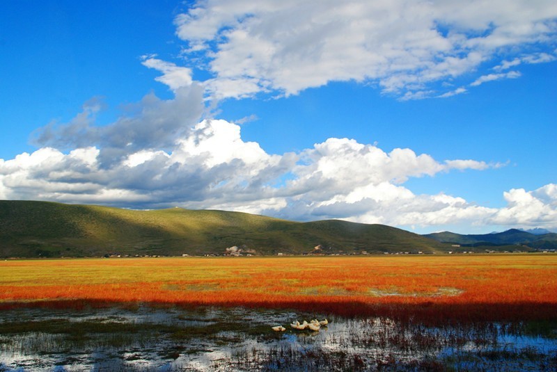 中国秋天最美的十个地方,秋天最美的旅游地点