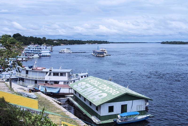 宝莲灯亚马逊,亚马逊雨林的宝莲灯