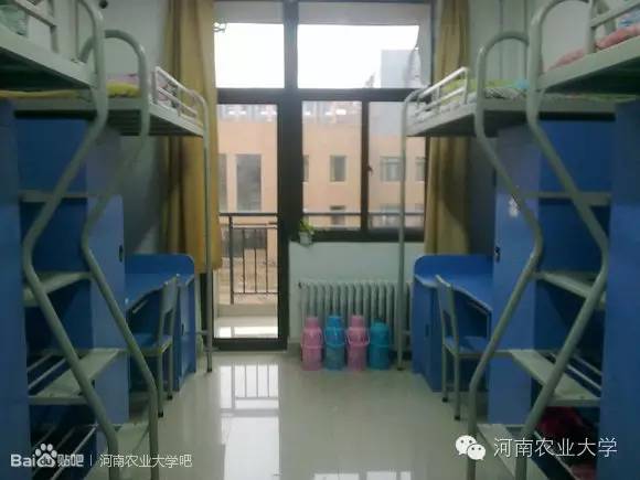 特别策划三分钟过后，农大小石榴马上开挂成老鸟！