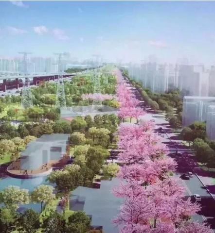 上海一周区情：申城街头添“小蓝车”金山大桥改扩建动工