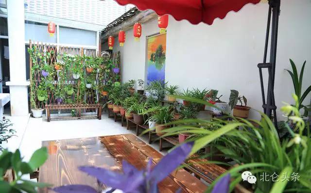 北仑民宿哪里好玩,北仑特色民宿