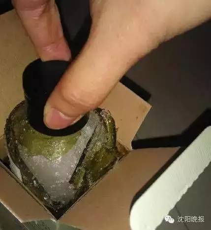 乌龟还能救过来吗,奄奄一息的小乌龟还有救吗