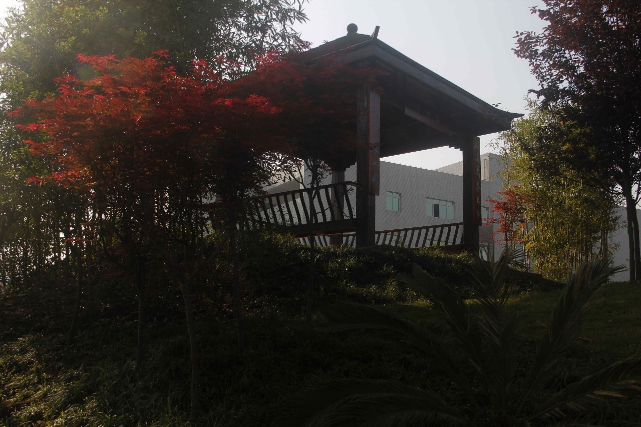 北碚区第四十八中学初中,重庆北碚48中学校