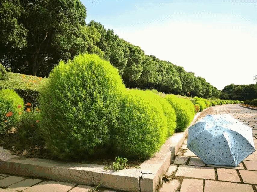 国庆节后浦东什么景点好看,上海国庆浦东这边有啥好玩的