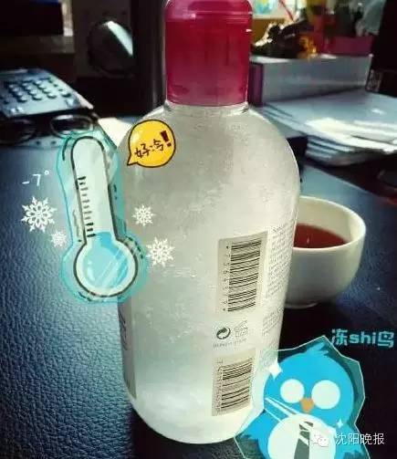 乌龟还能救过来吗,奄奄一息的小乌龟还有救吗