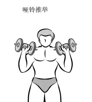 在家用哑铃锻炼背详细教学,瘦子在家哑铃锻炼全身肌肉