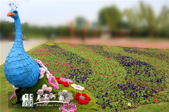 国庆去这里人少且景美,十一假期哪里去看花海