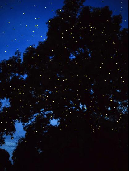 去沙巴旅游的感受,去沙巴旅游6大理由