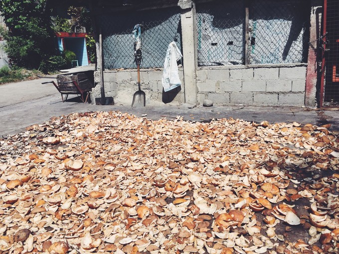 菲律宾潜水游记 (回忆菲律宾潜水的时光)