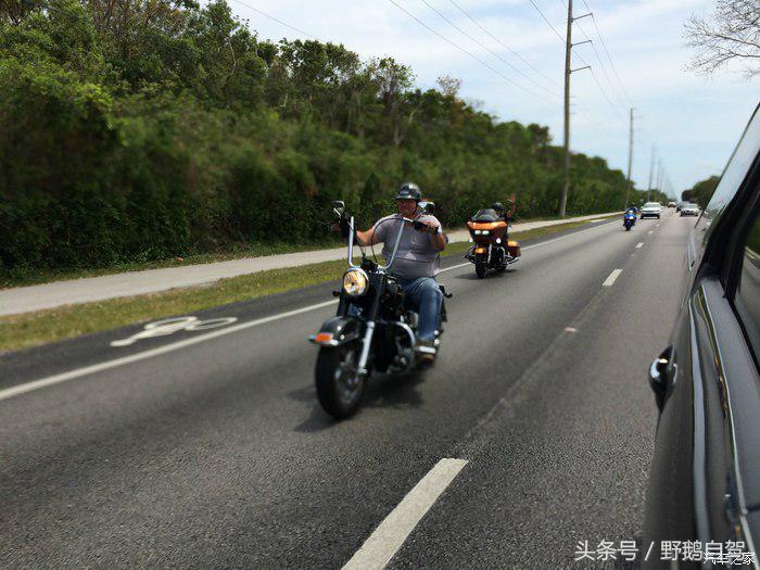 野鹅旅行,野鹅自驾无人区