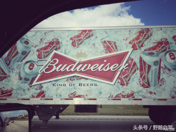 野鹅旅行,野鹅自驾无人区