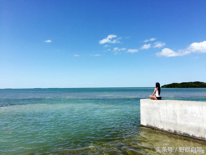 野鹅旅行,野鹅自驾无人区