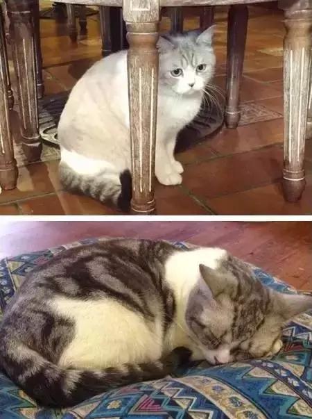 周末想要放松？不如做一次愚蠢的人类吧！