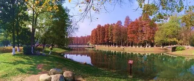 武汉十大漂亮女神,武汉最漂亮的十个女人