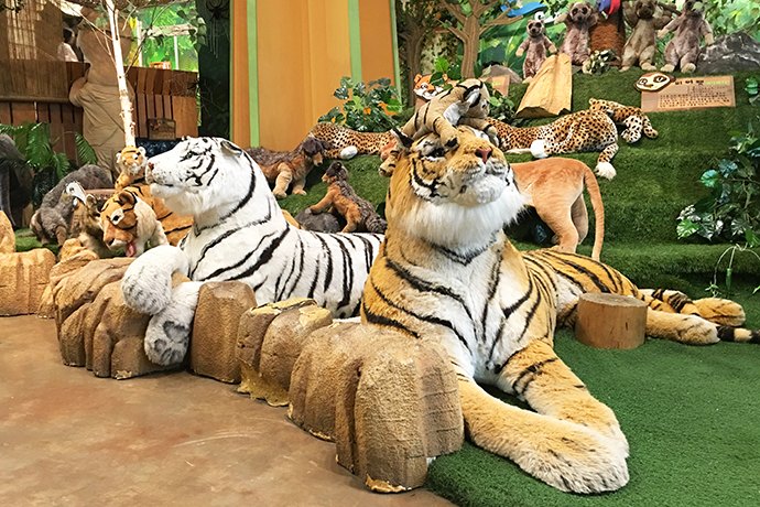 泰迪熊博物馆在韩国哪里,泰迪熊博物馆济州中文馆