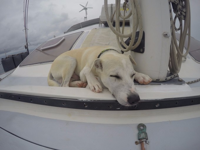 菲律宾潜水游记 (回忆菲律宾潜水的时光)