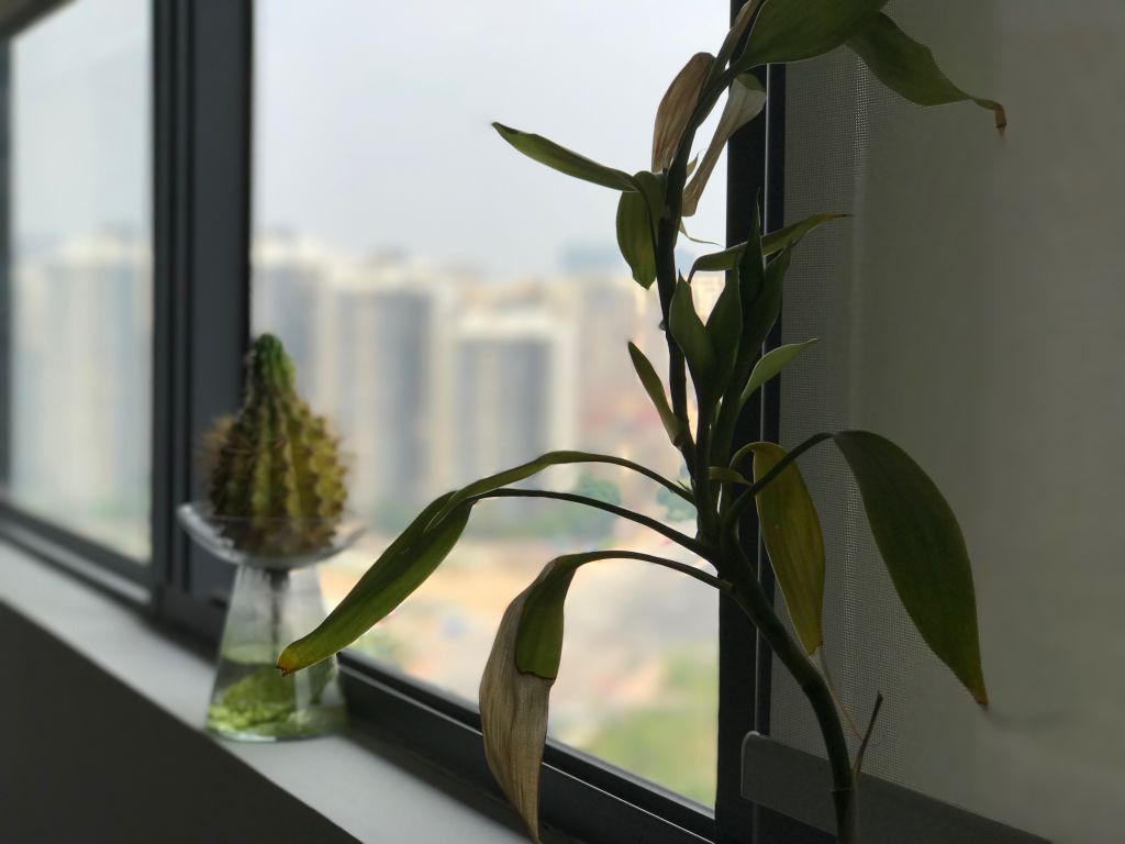 iphone7plus详细评测,苹果7plus测评还值得购买吗