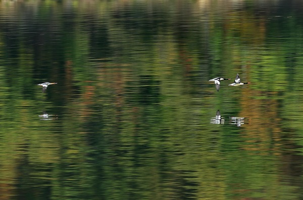 吉林白山附近有什么风景区,吉林有山有水的旅游景点