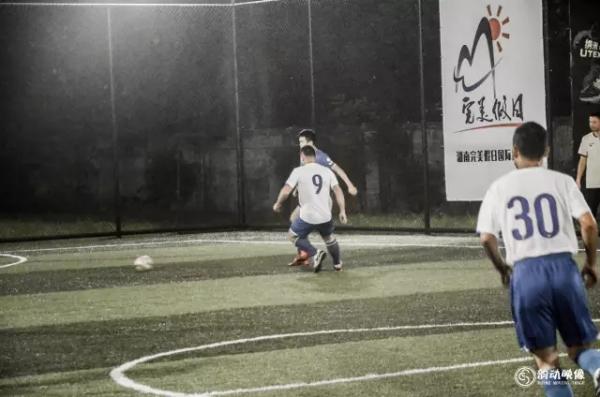 植物争霸赛新五强vs老五强,五甲联赛总决赛赛程