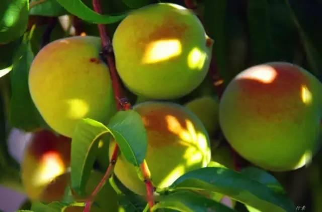 合肥市国庆期间有哪些亮点,合肥国庆七天怎么安排