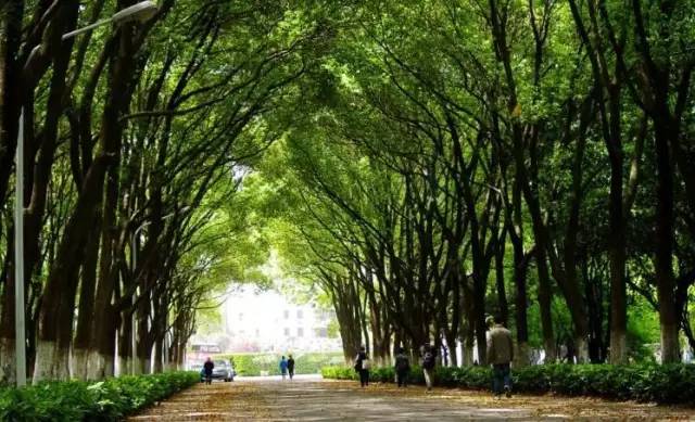 武汉十大漂亮女神,武汉最漂亮的十个女人
