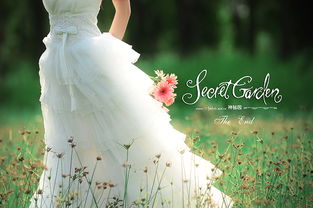 电影英雄背景音乐纯音乐,著名电影中的纯音乐