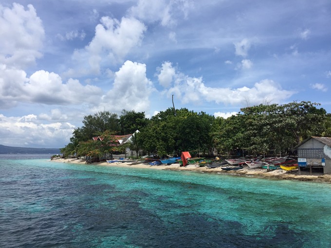 菲律宾潜水游记 (回忆菲律宾潜水的时光)