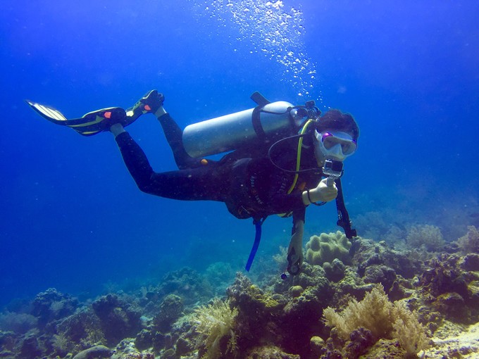 菲律宾潜水游记 (回忆菲律宾潜水的时光)