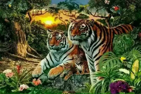 单身狗的无奈有多可怕,单身狗有什么悲哀