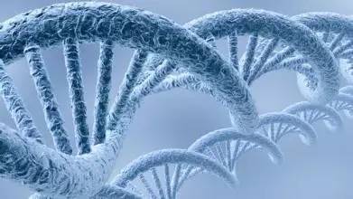 Amazing！即将到来的“双创周”超乎你想象！