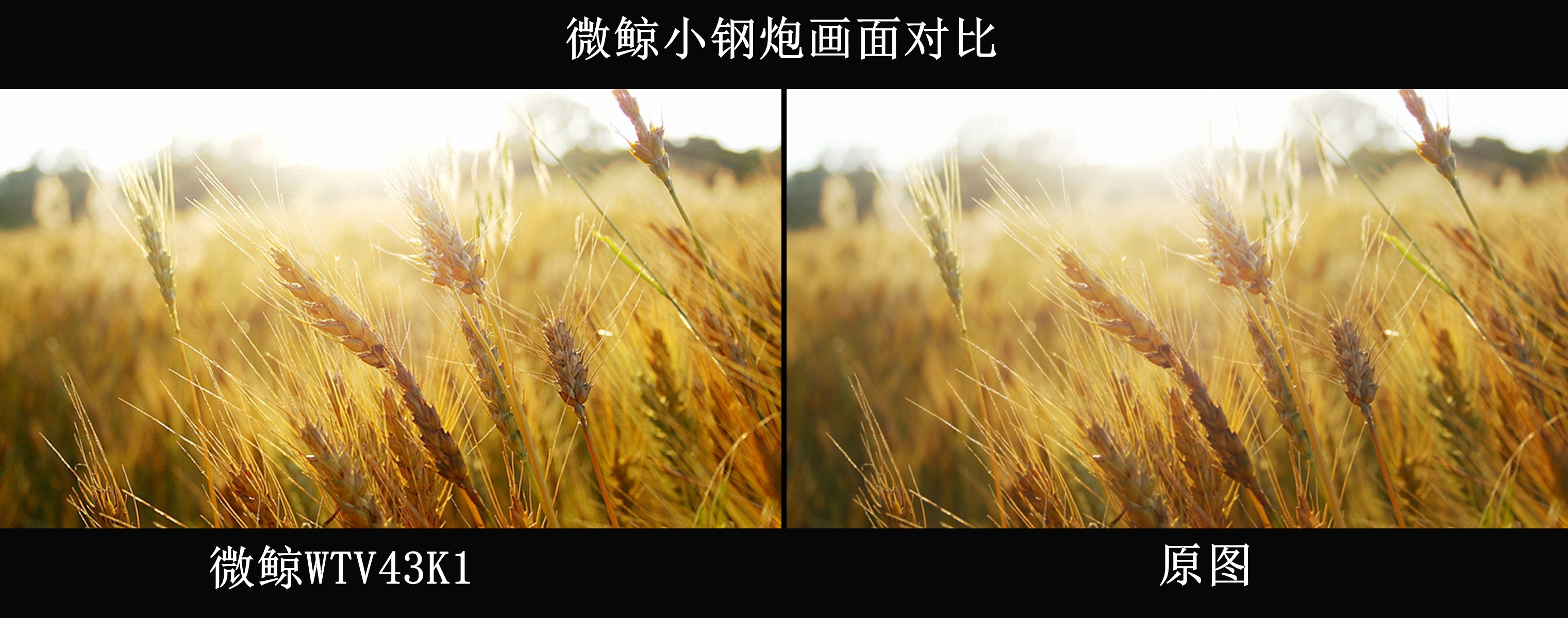 微鲸40寸电视参数,微鲸电视小钢炮