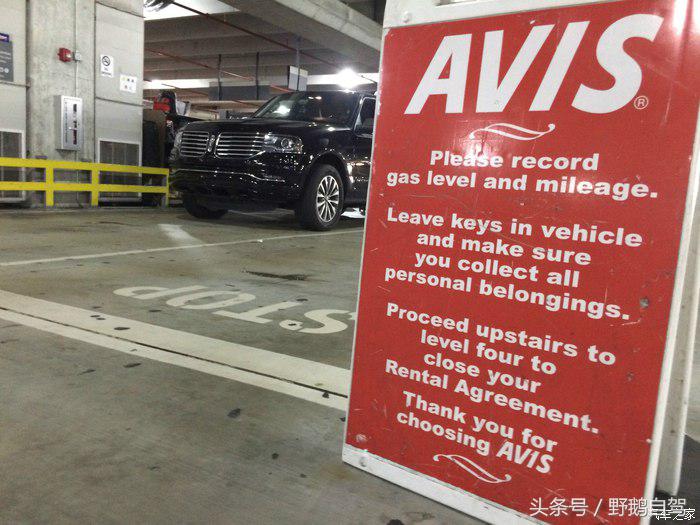 野鹅旅行,野鹅自驾无人区