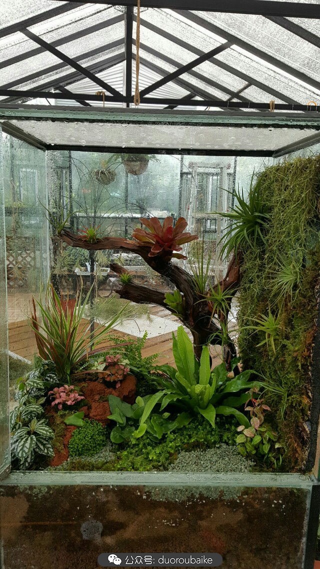 向阳的玻璃花房,玻璃花房设计建造