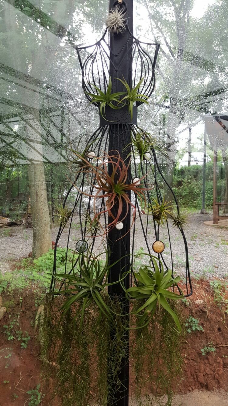 向阳的玻璃花房,玻璃花房设计建造