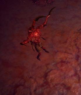 流放之路开荒快速过剧情攻略,流放之路近战剧情开荒攻略