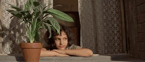 陪伴300万粉丝入梦，其中七成是年轻姑娘，二更食堂还说要孵化IP