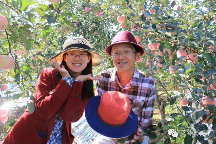 艾维wwoofer之：一路前行，一路感动