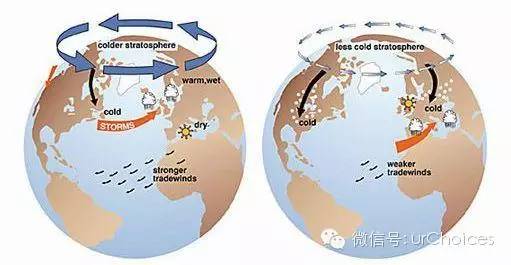 ArcticOscillation|选择,学英文25