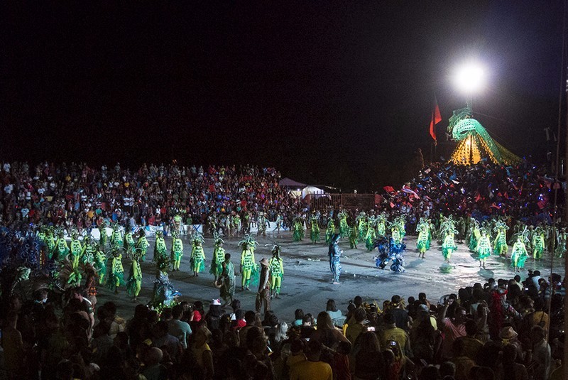 宝莲灯亚马逊,亚马逊雨林的宝莲灯