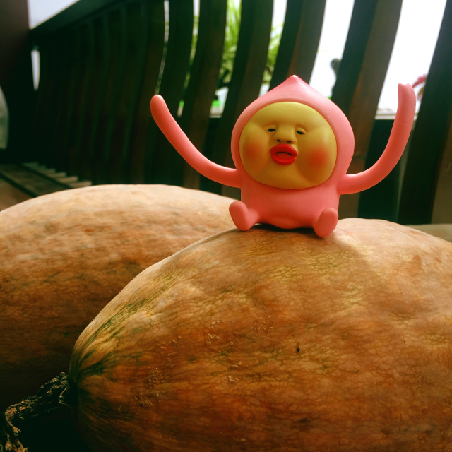 挑战你们的审美,挑战你的审美