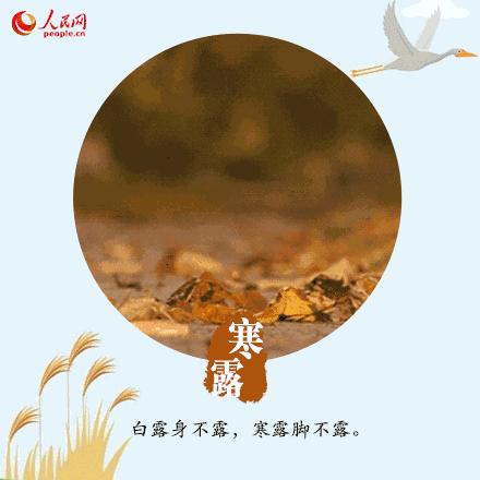 寒露可以露脚吗,寒露不宜露脚的危害