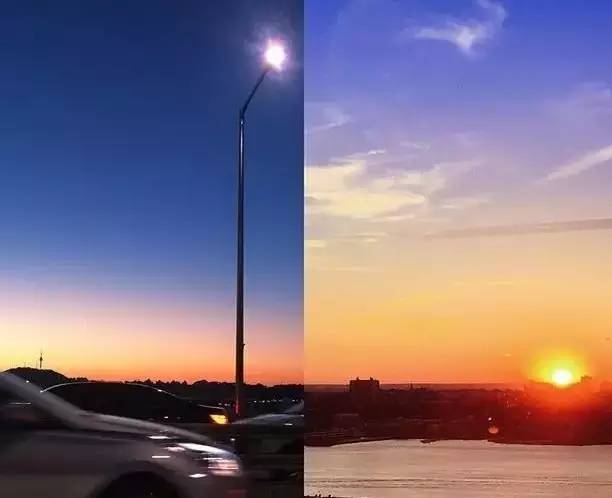 世界上最遥远的异国恋,天津麻花配郁金香