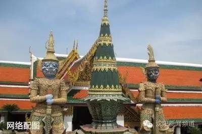 沈十一免费阅读全文,沈十一