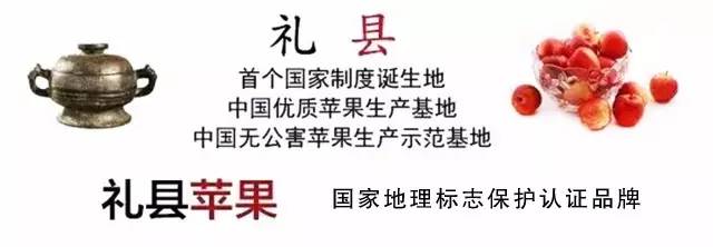礼县魅力,魅力礼县纪录片