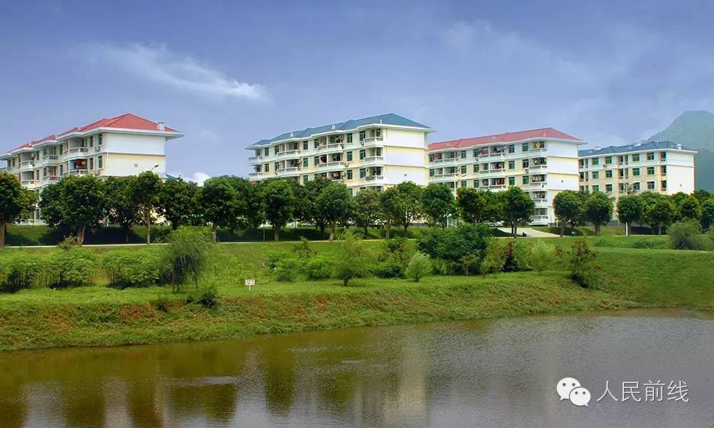 菇凉，这里为你敞开幸福公寓，要不要嫁进来？