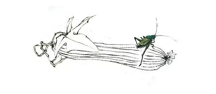 写在竹简上的诗经,诗经中的绝美句子纸质书