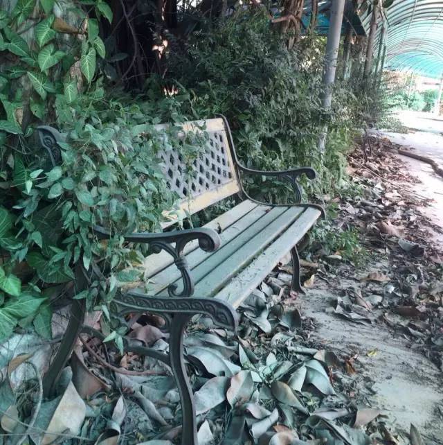 再看一眼！让我们道别守护东莞128年的“红楼”