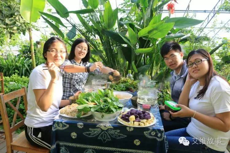 艾维wwoofer之：希望的曙光，为你为我