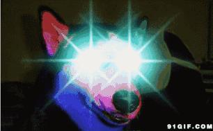 还记得当年的Q-Zone吗?十年前你的QQ空间里有什么?